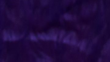 Migbelis Castellanos, presentadora venezolana.