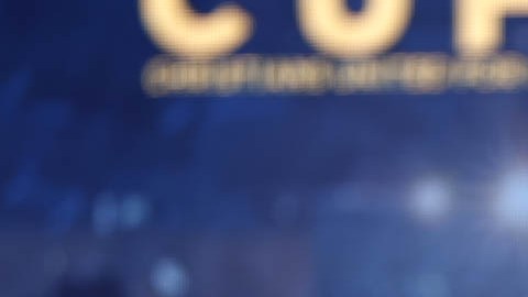 Mike Pence decidió tratar de llegar a la Casa Blanca desligado de Donald Trump