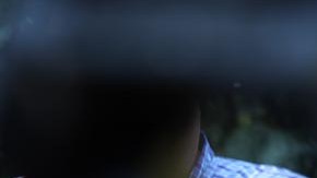 Mike Pence fungió como exvicepresidente de Donald Trump