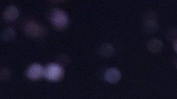 Paul Reubens, comediante de Hollywood.