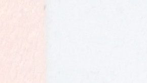 Peso Pluma cuando fue invitado de Becky G en el Coachella Music Festival 2023.