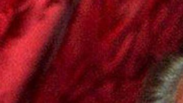 La visión de Richard Nixon pareciera estar adelantada a su tiempo.