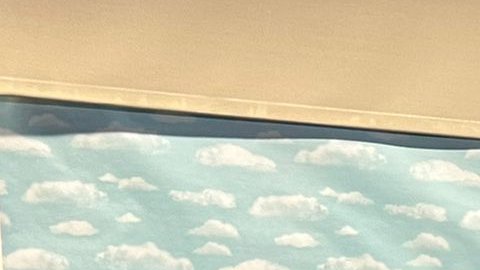 La senadora Shannon Grove es la autora de la iniciativa SB14.