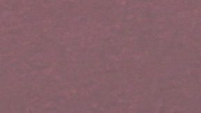 Sofía Vergara en un evento de NBC en Los Ángeles.