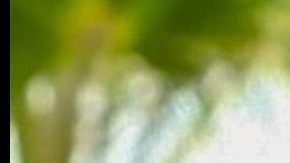 Tekashi 6ix9ine en Los Ángeles. Anuel AA en los Latin American Music Awards 2023.