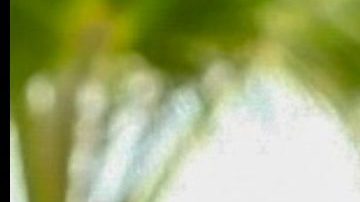 Tekashi 6ix9ine en Los Ángeles. Anuel AA en los Latin American Music Awards 2023.