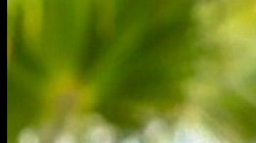 Tekashi 6ix9ine en Inglewood y Yailin La Más Viral cuando aún era pareja de Anuel AA.