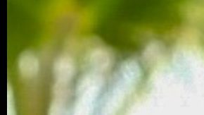 Tekashi 6ix9ine en Inglewood en 2020. Yailin La Más Viral cuando aún era pareja de Anuel AA.