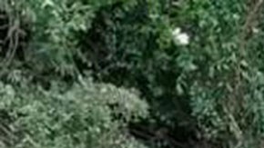 Accidente de autobús en Colombia