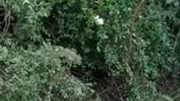 Accidente de autobús en Colombia