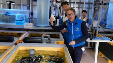El jefe del OIEA, Rafael Grossi, visitó la planta de Fukushima en una de las inspecciones del organismo.