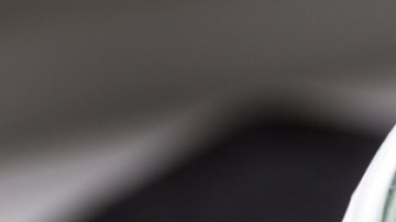 Candidiasis: CDC alertan sobre hongos peligrosos en Florida