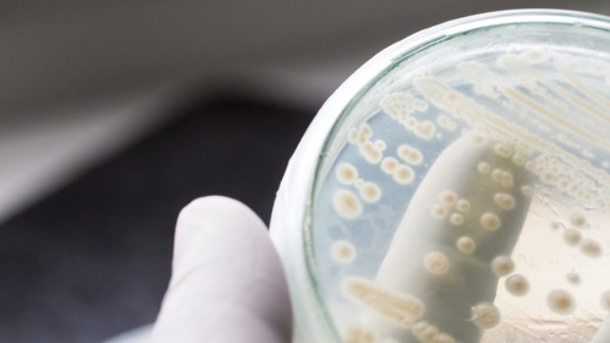 Candidiasis: CDC alertan sobre hongos peligrosos en Florida