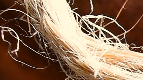 La canela contiene la vibración energética de la suerte.