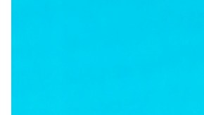 Carmen Villalobos y Frederik Oldenburg