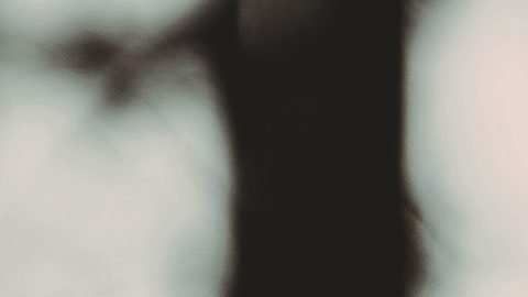 Los cuarzos pueden ayudarte a controlar emociones como el estrés y la ansiedad.