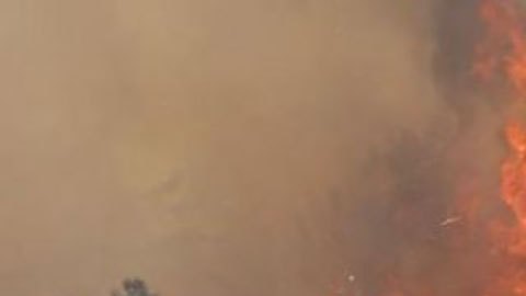 Los incendios fuera de control en el Mediterráneo ya dejan más de 40 muertos