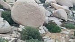 Rescate de migrantes