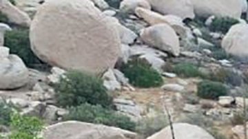 Rescate de migrantes