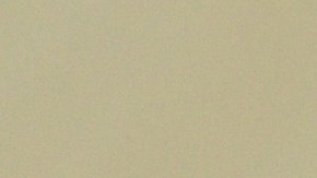 Los gatos pueden transmitirnos un mensaje espiritual.