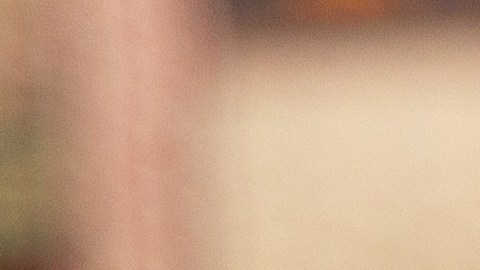 Los hombres Leo tienen gustos y preferencias particulares, saberlas puede ayudarte a conquistarlos.