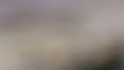 Las monedas chinas son símbolo del dinero en la astrología oriental y simbolizan ambición.