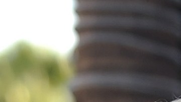 James Cameron y Arnold Schwarzenegger