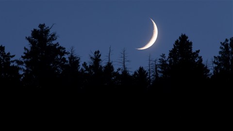 La luna nueva en Cáncer afectará más a los signos cardinales del Zodiaco.