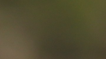 La oportunidad de comenzar de nuevo está latente en el ambiente, sobre todo, para 4 signos.