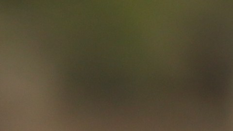 La oportunidad de comenzar de nuevo está latente en el ambiente, sobre todo, para 4 signos.