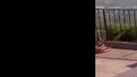 VIDEO: oso se dio un chapuzón en el jacuzzi de una familia al sur de California