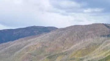 Encuentran atrapada en lodo a mujer desaparecida desde hace días en Massachusetts