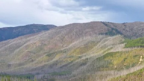 Encuentran atrapada en lodo a mujer desaparecida desde hace días en Massachusetts
