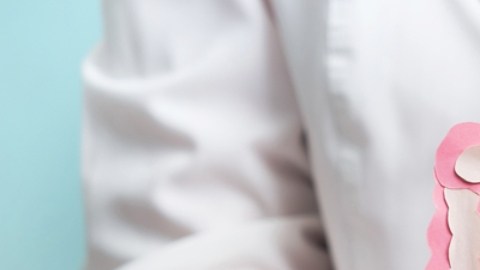 Estos son los prebióticos que recomiendan los expertos para mejorar tu salud