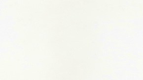 El romero es usado en los rituales para purificar los ambientes de energías negativas.