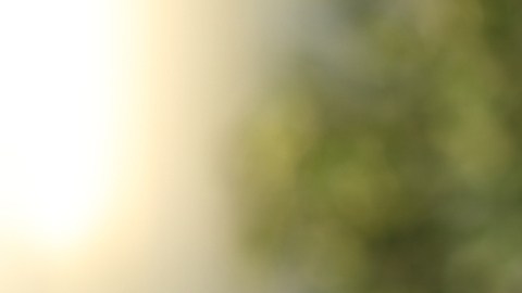 Climas cálidos están vinculados a problemas de salud ocular