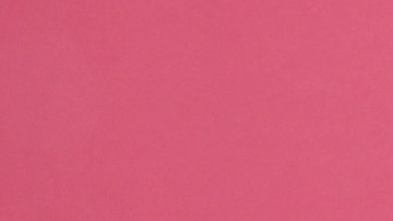 Selena Gomez y Francia Raisa