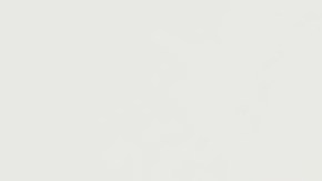 trabajadores afroamericanos