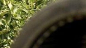 Las opciones de los ingenieros militares ucranianos son reparar rápidamente los tanques o usarlos como fuente de piezas de repuesto.