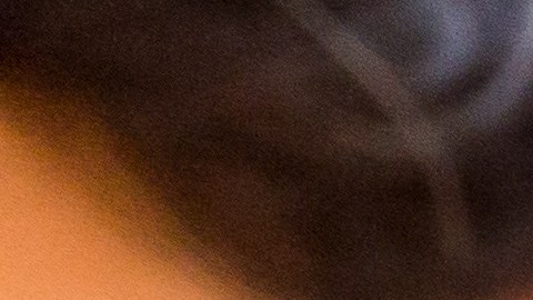 Cada signo del horóscopo chino tiene cualidades que lo hacen destacar del resto.