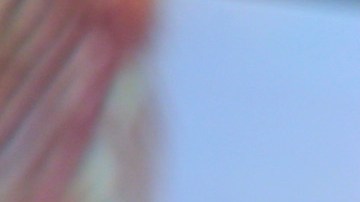 Francisca confirma que espera su segundo hijo.