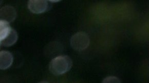 Dayanara presumió sus curvas en redes sociales.