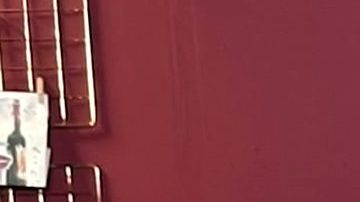 Daniela Lujan y Martín Ricca juntos en el 2000's Pop Tour