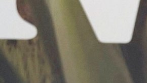 Majo Aguilar presume el talento de su hermana gemela | Mezcalent.