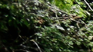 Panamá ha experimentado un aumento de inmigrantes que transitan desde América del Sur hacia Estados Unidos.