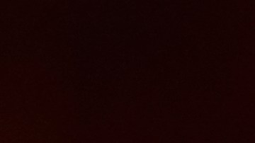 La directora de Asylum Access México, Alejandra Macías, explicó en entrevista el rol que tomarán en la crisis migratoria.