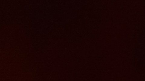 La directora de Asylum Access México, Alejandra Macías, explicó en entrevista el rol que tomarán en la crisis migratoria.