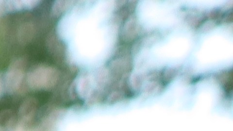 La asesora principal para migración en la Casa Blanca, Katie Tobin.