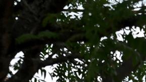 El Manchester Memorial Hospital fue uno de los centros hospitalarios afectados por el ciberataque.