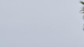 Instalar segmento de muro de Berlín en Tijuana